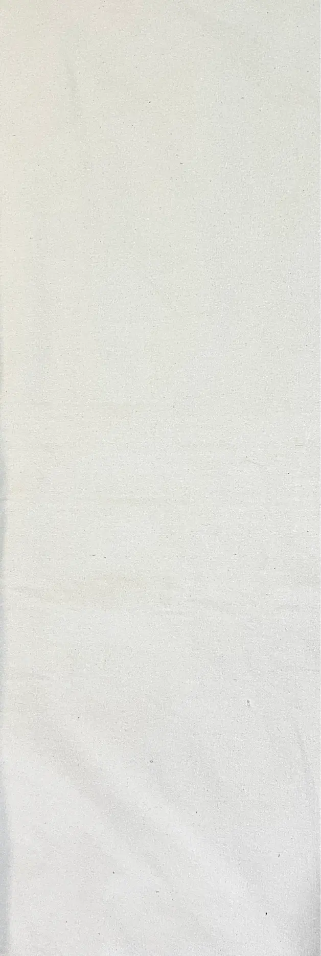 Cotton Canvas