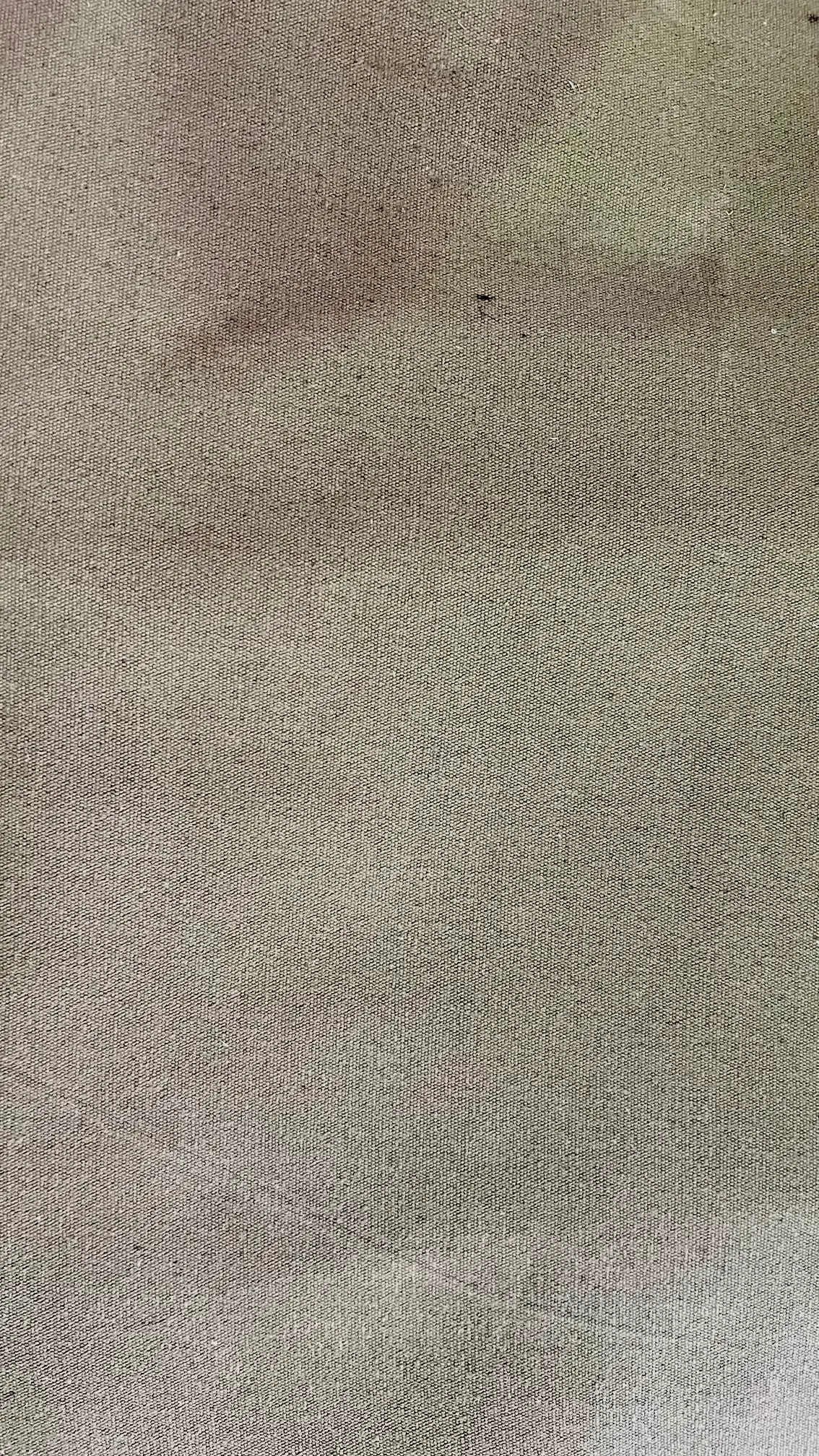 Cotton Canvas